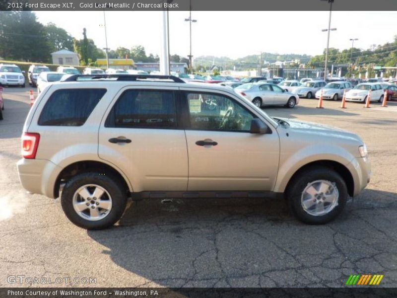 Gold Leaf Metallic / Charcoal Black 2012 Ford Escape XLT