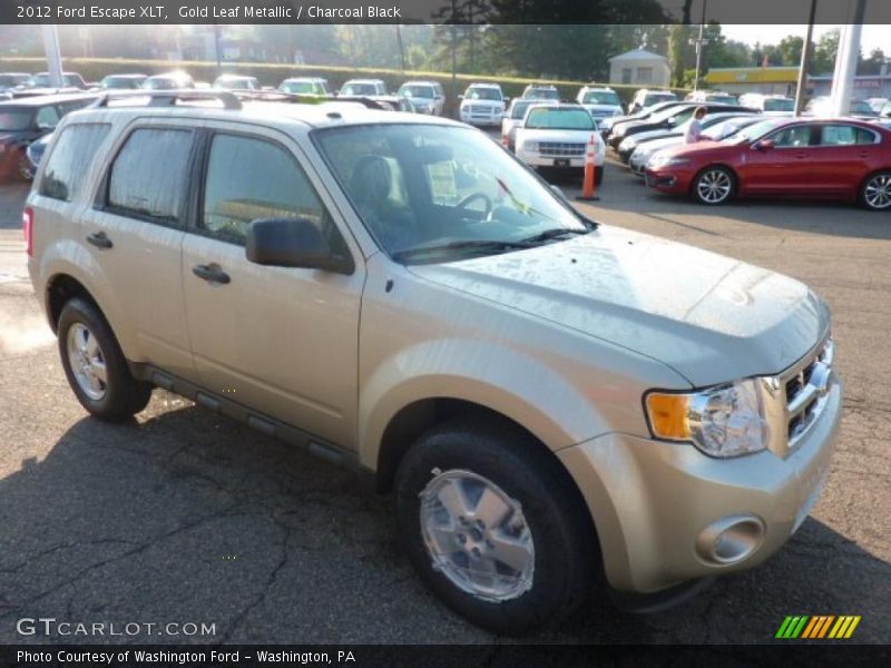 Gold Leaf Metallic / Charcoal Black 2012 Ford Escape XLT