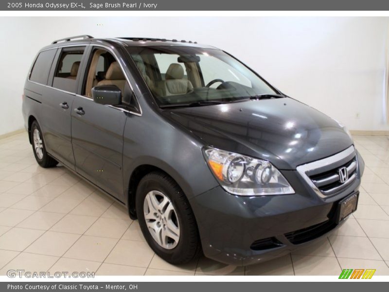 Sage Brush Pearl / Ivory 2005 Honda Odyssey EX-L