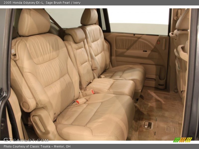 Sage Brush Pearl / Ivory 2005 Honda Odyssey EX-L