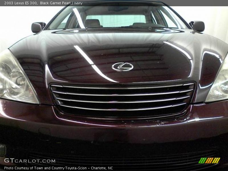 Black Garnet Pearl / Ivory 2003 Lexus ES 300