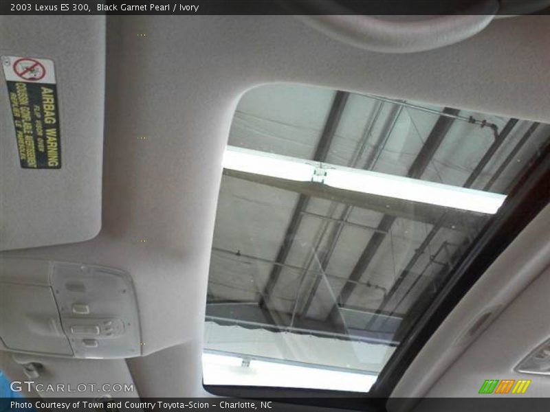 Black Garnet Pearl / Ivory 2003 Lexus ES 300