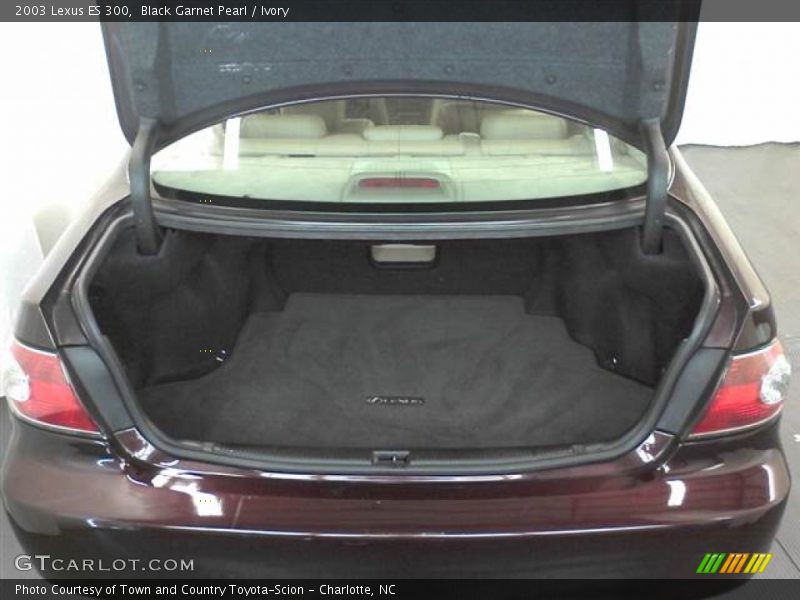 Black Garnet Pearl / Ivory 2003 Lexus ES 300