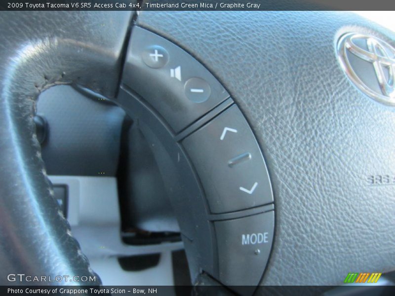 Timberland Green Mica / Graphite Gray 2009 Toyota Tacoma V6 SR5 Access Cab 4x4