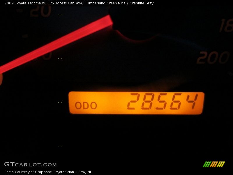 Timberland Green Mica / Graphite Gray 2009 Toyota Tacoma V6 SR5 Access Cab 4x4