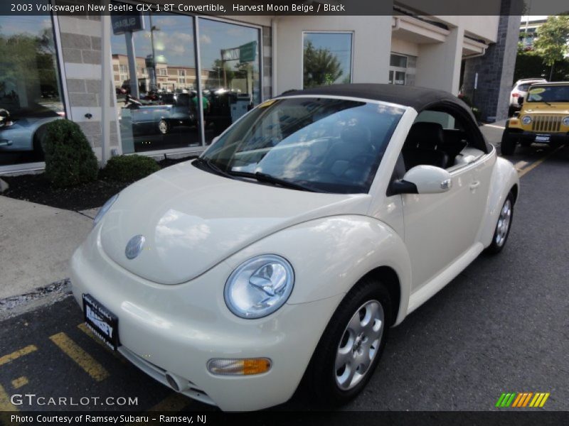 Harvest Moon Beige / Black 2003 Volkswagen New Beetle GLX 1.8T Convertible