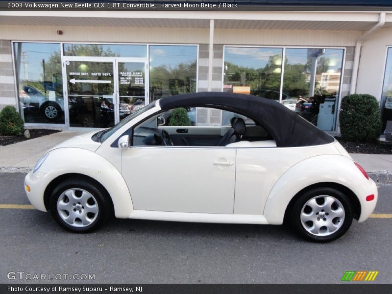 Harvest Moon Beige / Black 2003 Volkswagen New Beetle GLX 1.8T Convertible