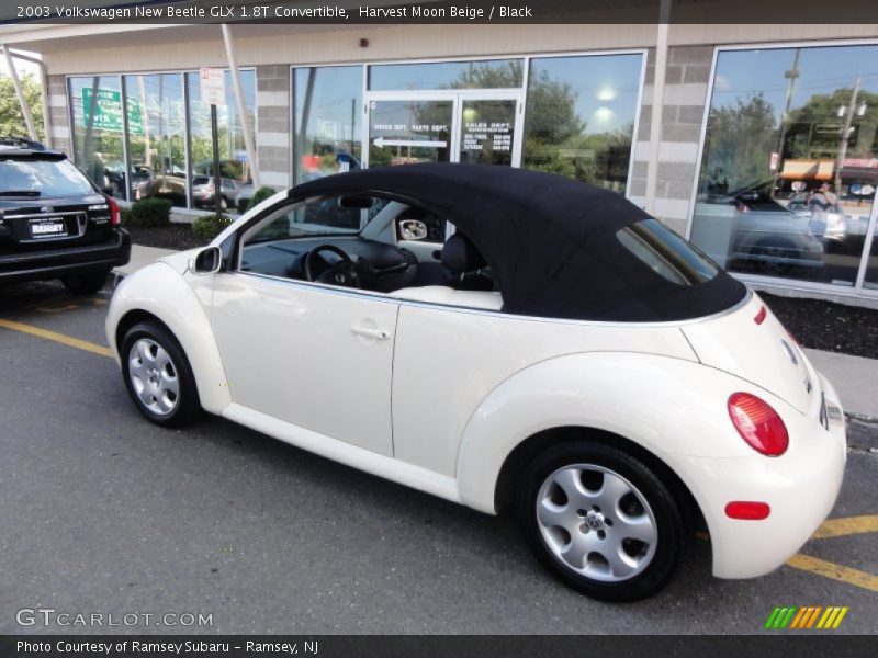 Harvest Moon Beige / Black 2003 Volkswagen New Beetle GLX 1.8T Convertible