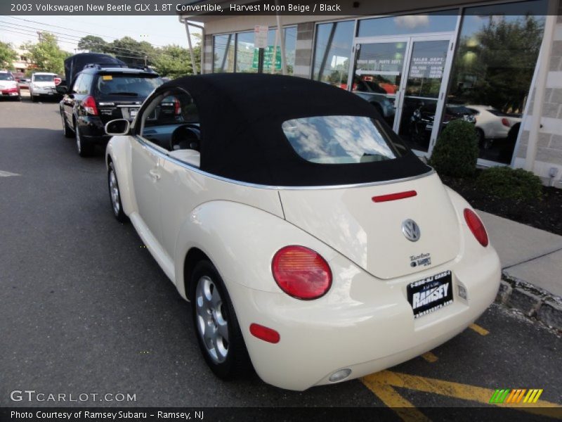 Harvest Moon Beige / Black 2003 Volkswagen New Beetle GLX 1.8T Convertible