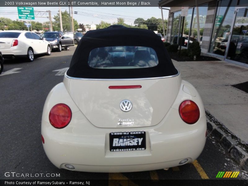 Harvest Moon Beige / Black 2003 Volkswagen New Beetle GLX 1.8T Convertible