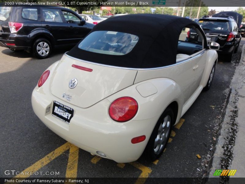 Harvest Moon Beige / Black 2003 Volkswagen New Beetle GLX 1.8T Convertible