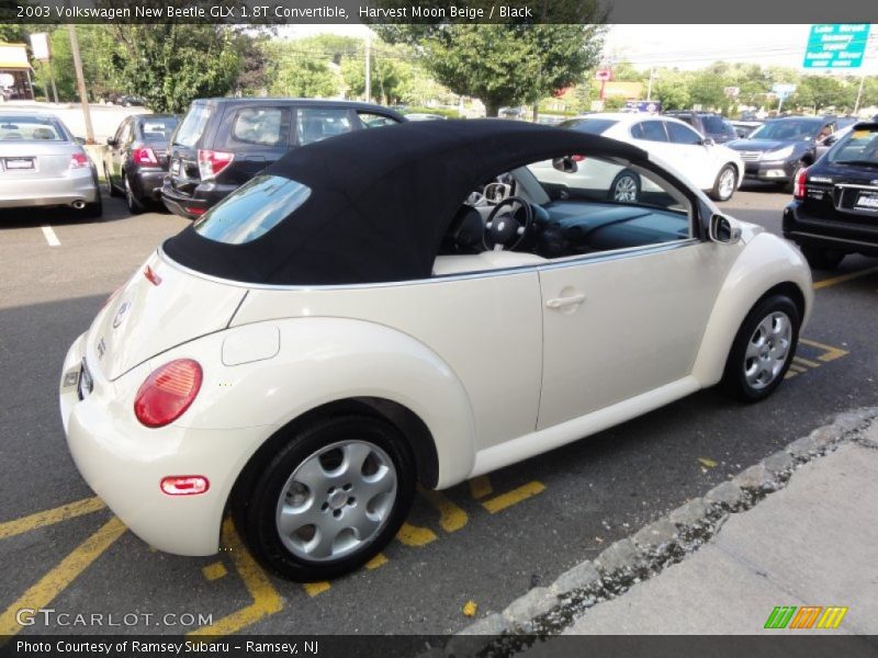 Harvest Moon Beige / Black 2003 Volkswagen New Beetle GLX 1.8T Convertible