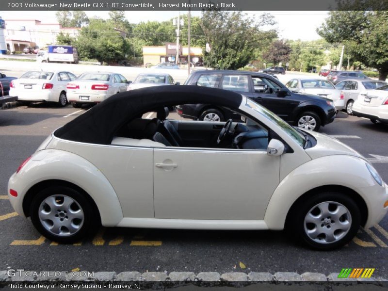 Harvest Moon Beige / Black 2003 Volkswagen New Beetle GLX 1.8T Convertible