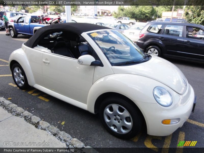 Harvest Moon Beige / Black 2003 Volkswagen New Beetle GLX 1.8T Convertible