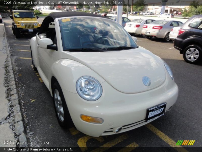 Harvest Moon Beige / Black 2003 Volkswagen New Beetle GLX 1.8T Convertible