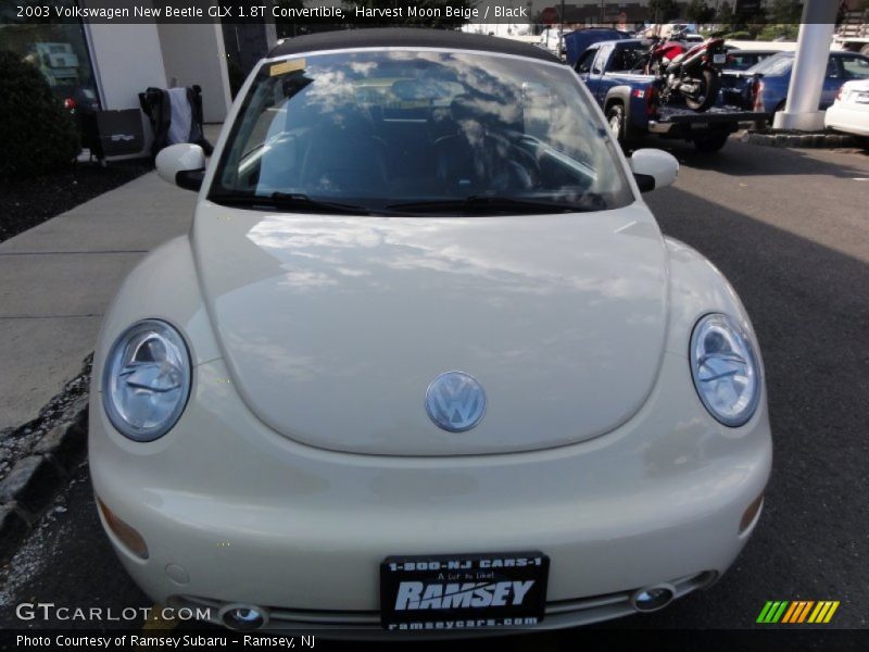 Harvest Moon Beige / Black 2003 Volkswagen New Beetle GLX 1.8T Convertible
