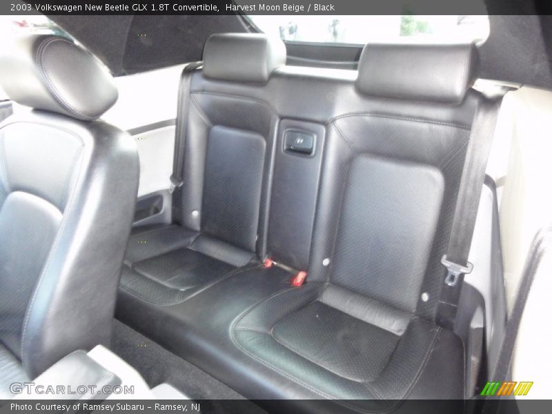 Harvest Moon Beige / Black 2003 Volkswagen New Beetle GLX 1.8T Convertible