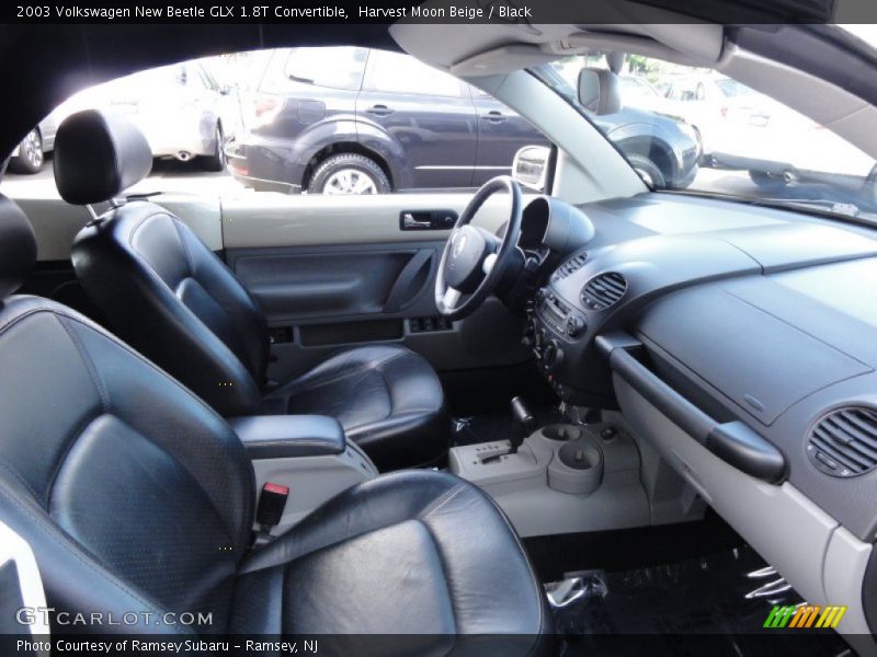 Harvest Moon Beige / Black 2003 Volkswagen New Beetle GLX 1.8T Convertible