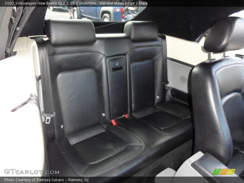 2003 New Beetle GLX 1.8T Convertible Black Interior
