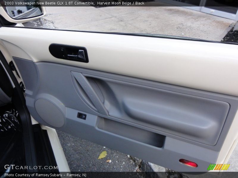 Harvest Moon Beige / Black 2003 Volkswagen New Beetle GLX 1.8T Convertible