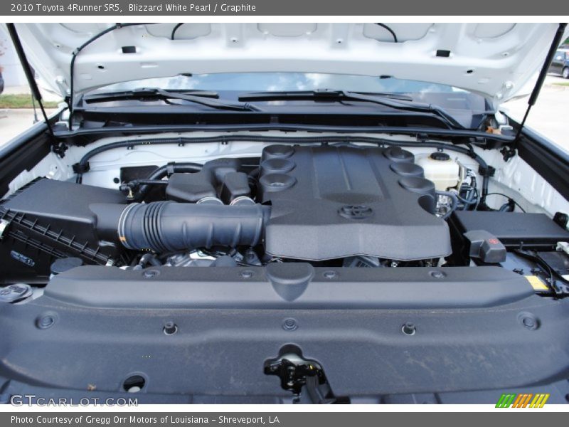 Blizzard White Pearl / Graphite 2010 Toyota 4Runner SR5