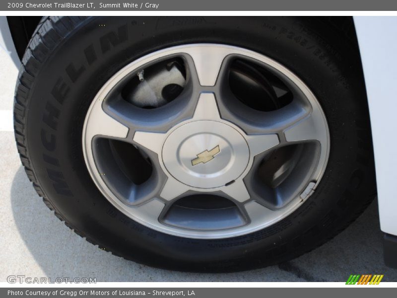 Summit White / Gray 2009 Chevrolet TrailBlazer LT