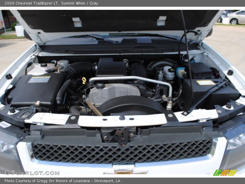 Summit White / Gray 2009 Chevrolet TrailBlazer LT