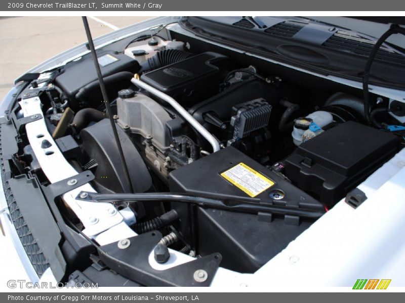 Summit White / Gray 2009 Chevrolet TrailBlazer LT