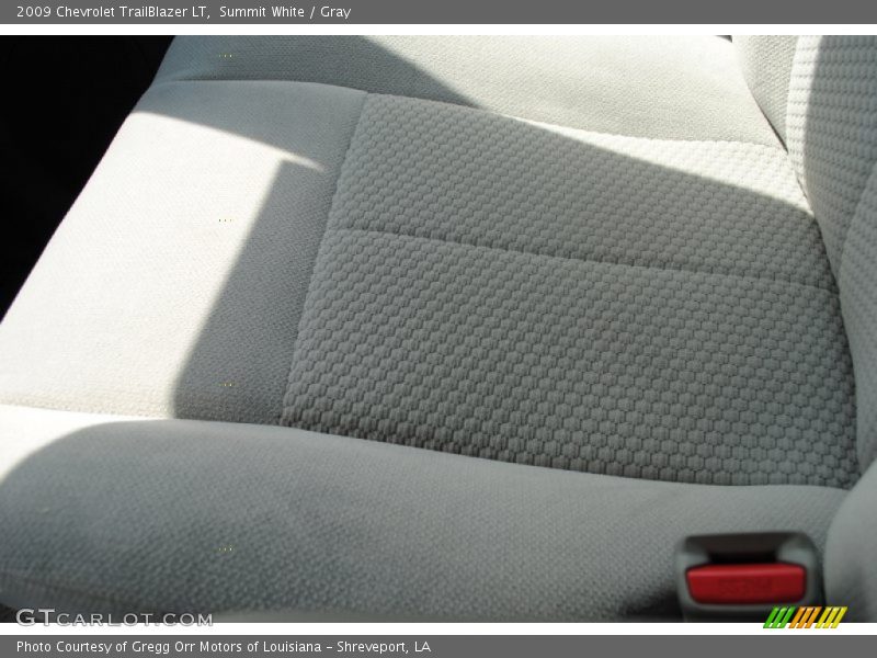 Summit White / Gray 2009 Chevrolet TrailBlazer LT
