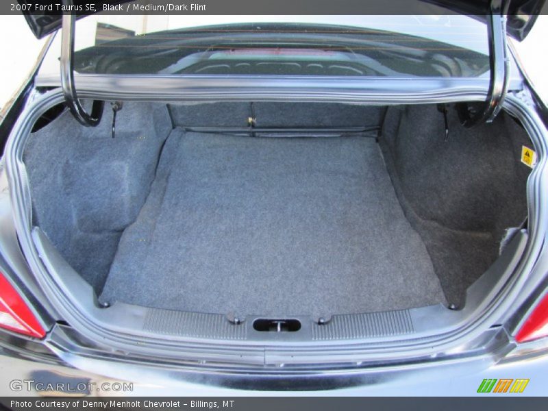 Black / Medium/Dark Flint 2007 Ford Taurus SE