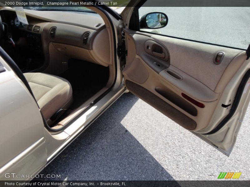Champagne Pearl Metallic / Camel Tan 2000 Dodge Intrepid