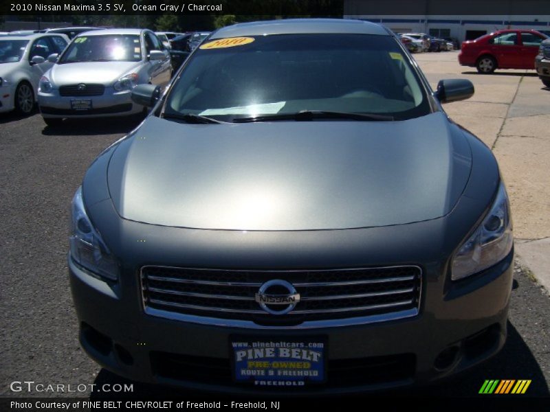 Ocean Gray / Charcoal 2010 Nissan Maxima 3.5 SV