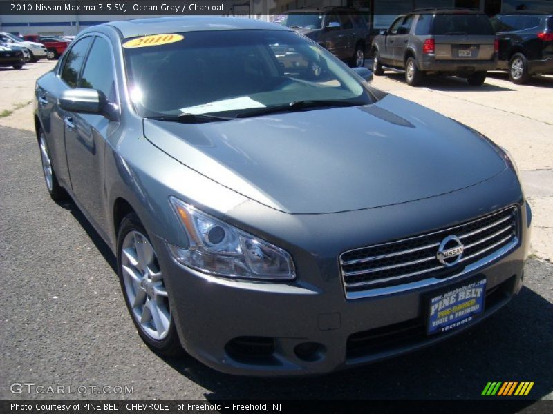 Ocean Gray / Charcoal 2010 Nissan Maxima 3.5 SV