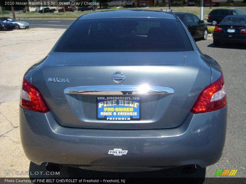 Ocean Gray / Charcoal 2010 Nissan Maxima 3.5 SV