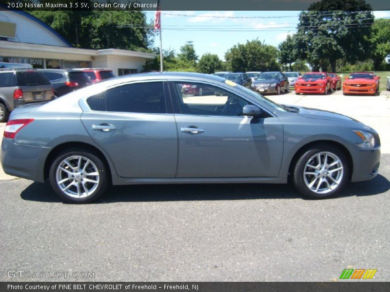 Ocean Gray / Charcoal 2010 Nissan Maxima 3.5 SV