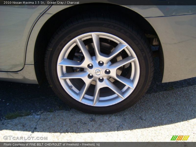 Ocean Gray / Charcoal 2010 Nissan Maxima 3.5 SV