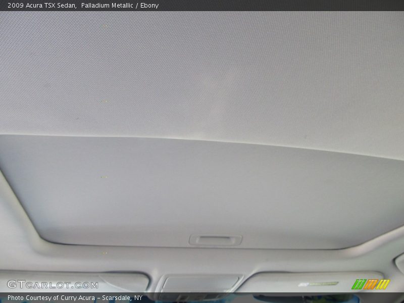 Palladium Metallic / Ebony 2009 Acura TSX Sedan