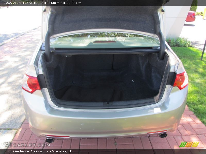 Palladium Metallic / Ebony 2009 Acura TSX Sedan