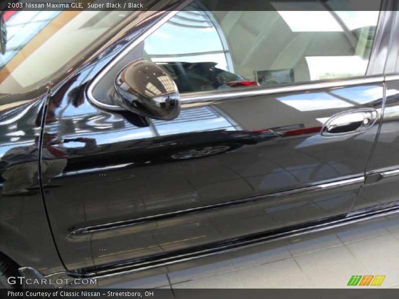 Super Black / Black 2003 Nissan Maxima GLE