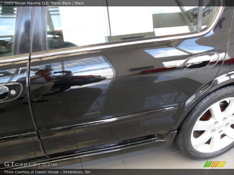 Super Black / Black 2003 Nissan Maxima GLE