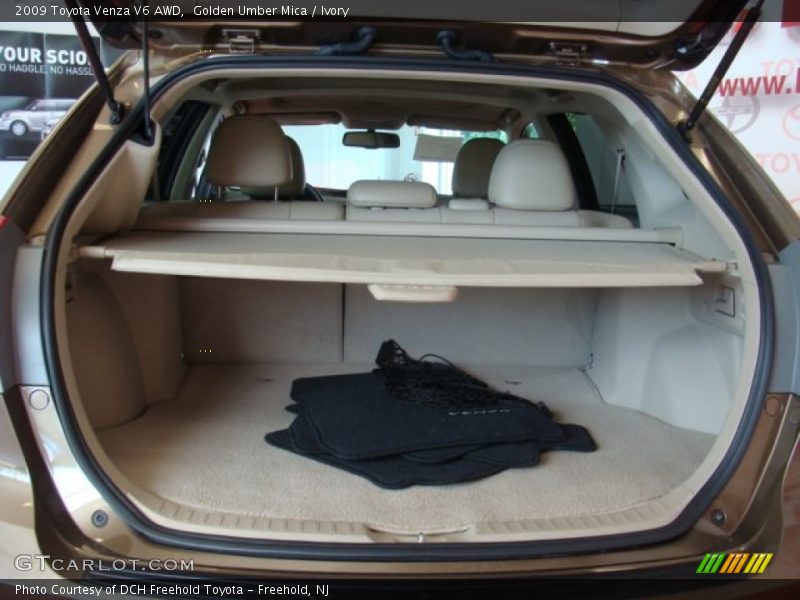 Golden Umber Mica / Ivory 2009 Toyota Venza V6 AWD