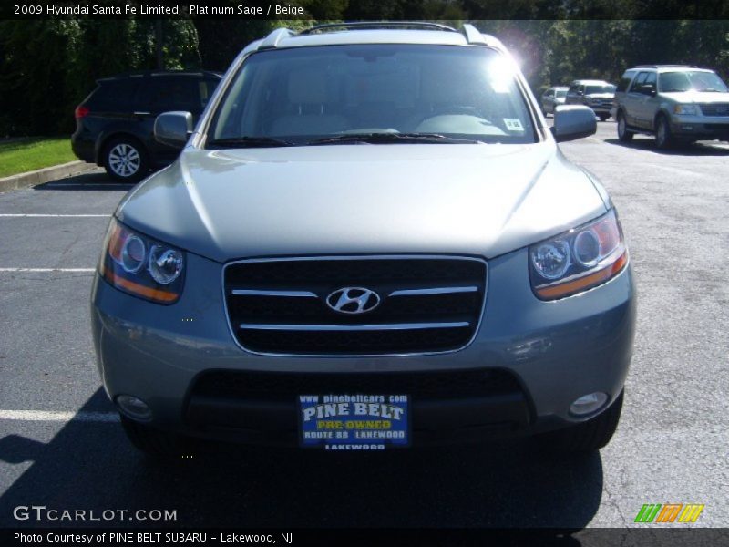 Platinum Sage / Beige 2009 Hyundai Santa Fe Limited