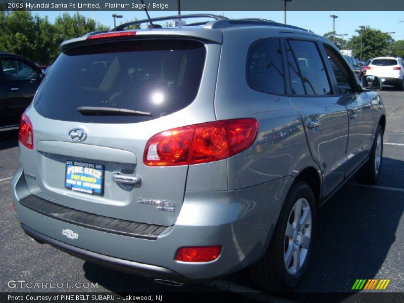 Platinum Sage / Beige 2009 Hyundai Santa Fe Limited