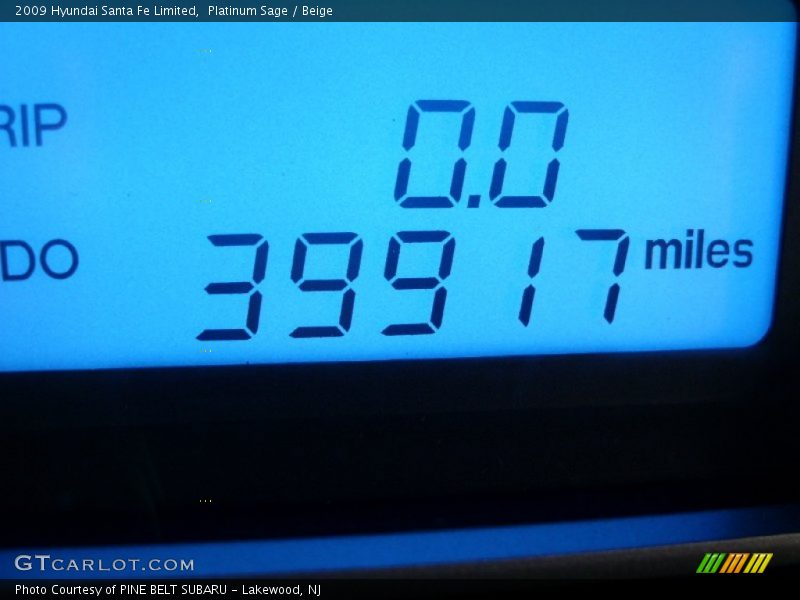 Platinum Sage / Beige 2009 Hyundai Santa Fe Limited