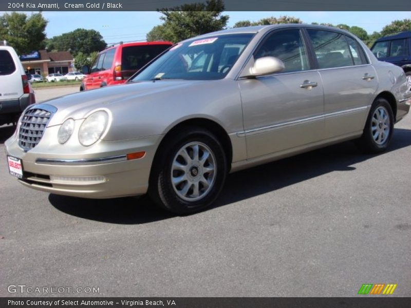 Cream Gold / Black 2004 Kia Amanti