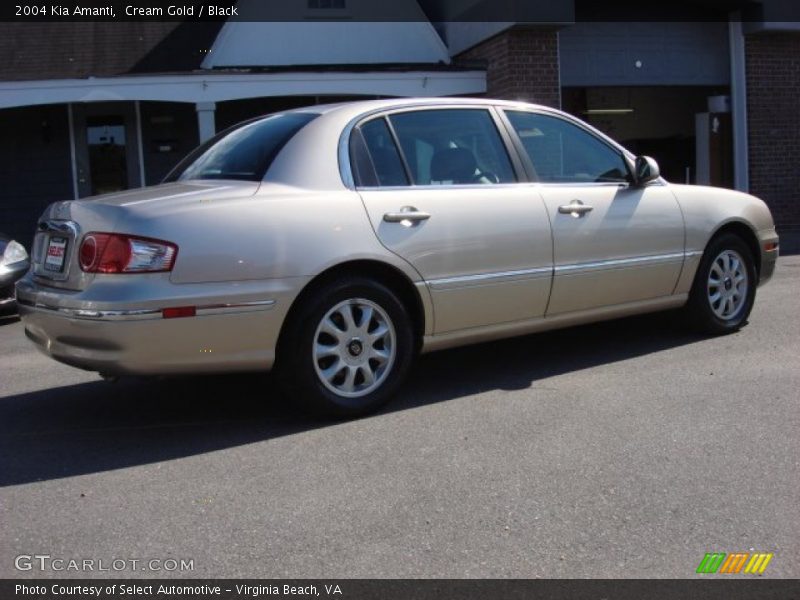 Cream Gold / Black 2004 Kia Amanti