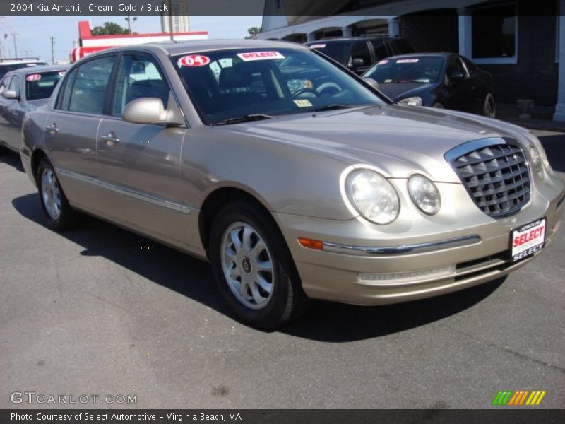 Cream Gold / Black 2004 Kia Amanti