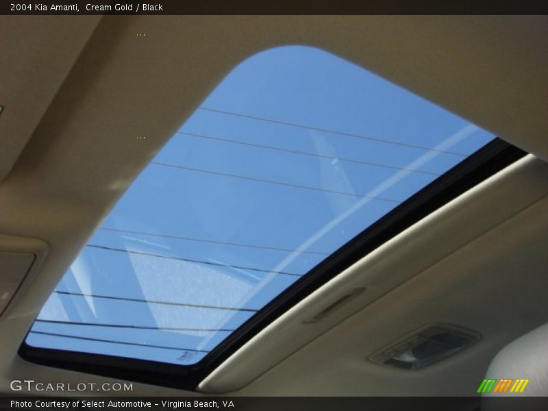 Cream Gold / Black 2004 Kia Amanti