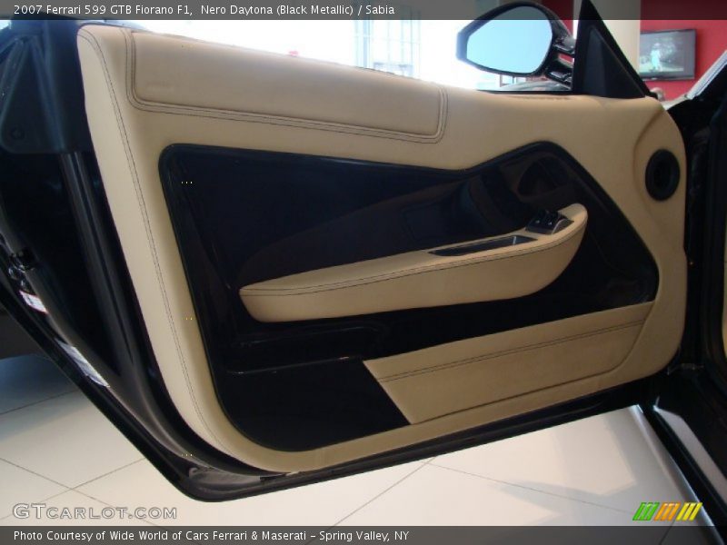Door Panel of 2007 599 GTB Fiorano F1