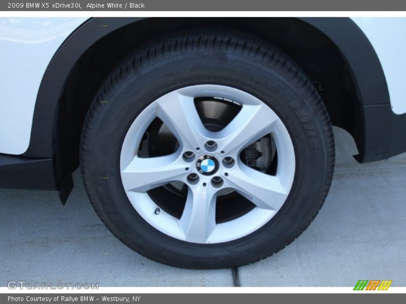 Alpine White / Black 2009 BMW X5 xDrive30i